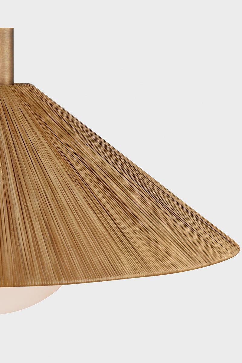 Troy Lighting WOODSIDE Pendant — F1432-PBR