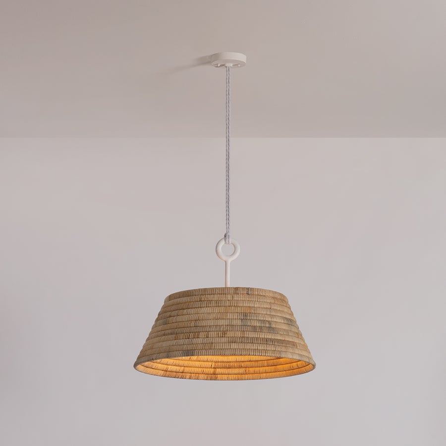 Troy Lighting SEQUOIA Pendant — F2824-TBZH
