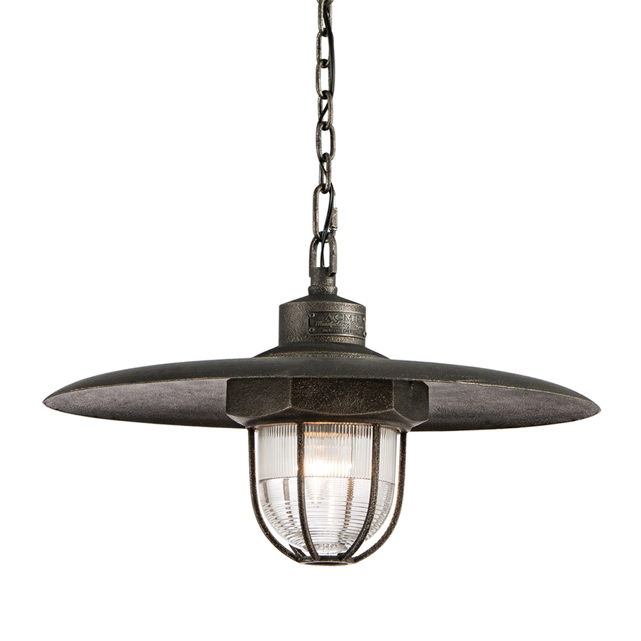 Troy Lighting Acme Pendant — F3897-APW