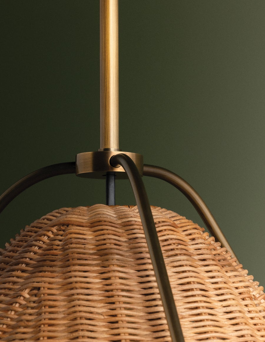 Troy Lighting Richard Pendant — F4318-PBR