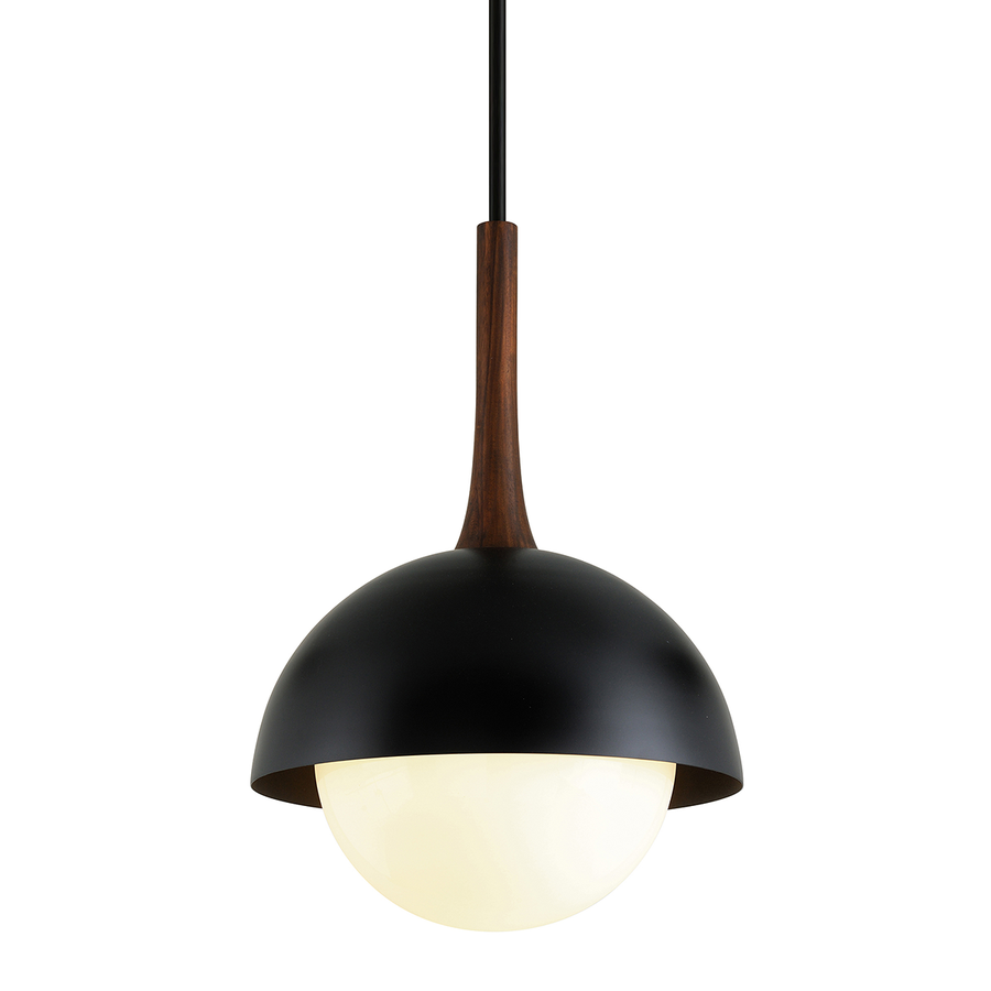Troy Lighting Cadet Pendant — F7646-SBK