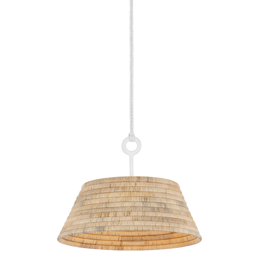 Troy Lighting SEQUOIA Pendant — F2824-GSW