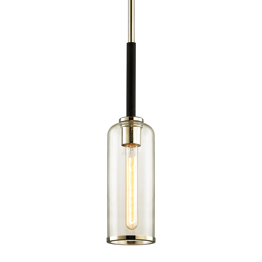 Troy Lighting Aeon Pendant — F6273-TBK/PN
