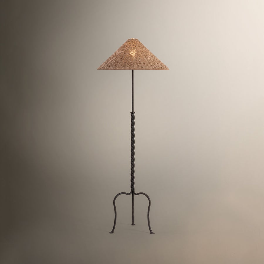 Troy Lighting Francisco Floor Lamp — PFL5164-FRN