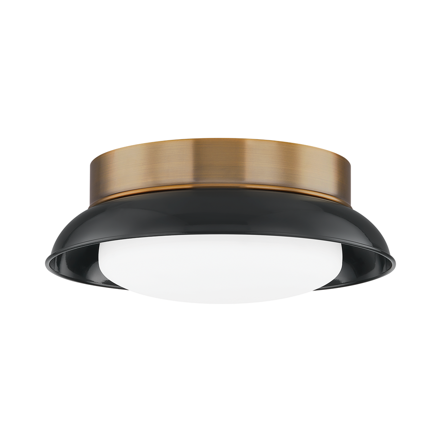 Troy Lighting ARNIE Flush Mount — C2014-PBR/GBK