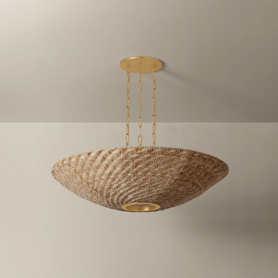Troy Lighting OLLIE PENDANT — F1540-VGL