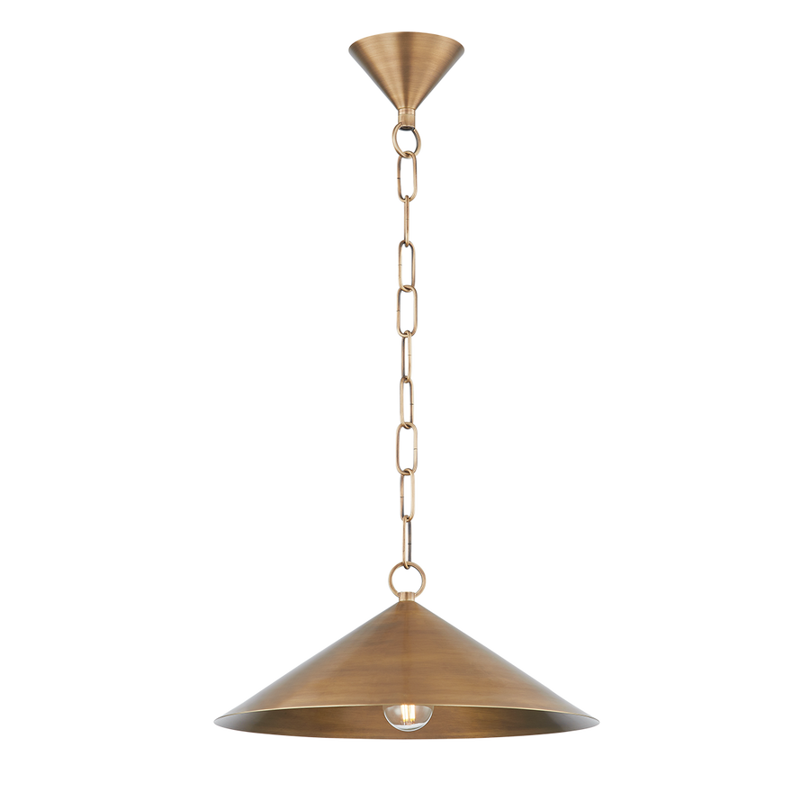 Troy Lighting MIDVALE Pendant — F1915-PBR