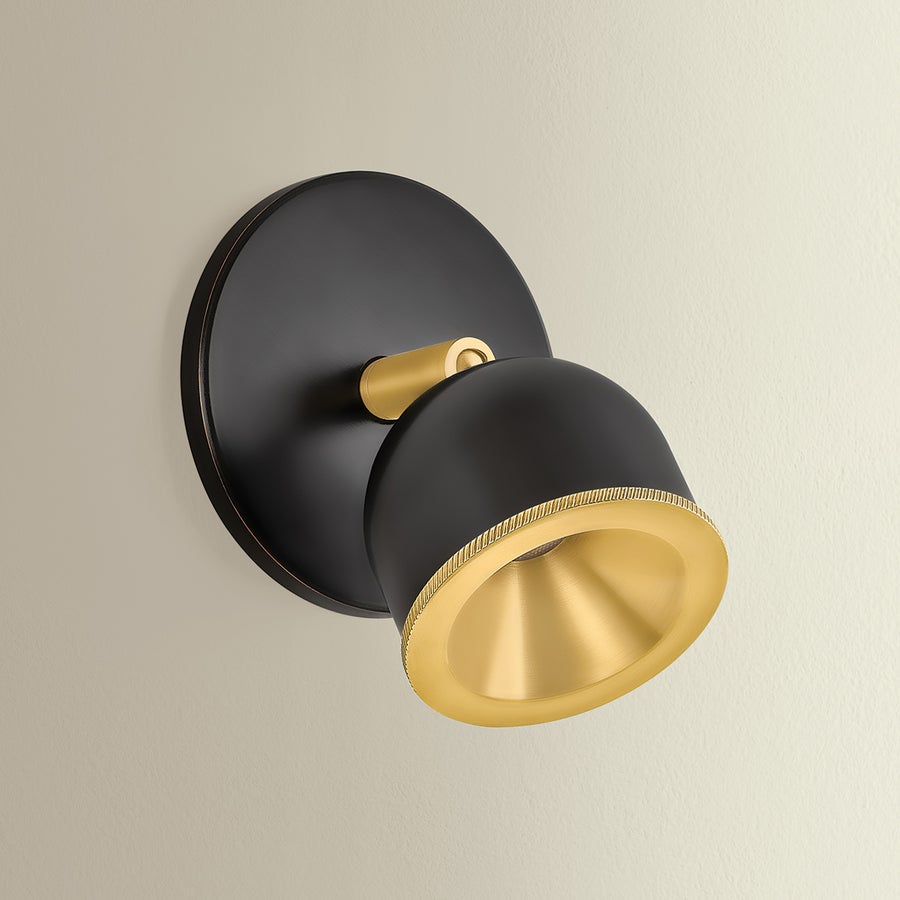 Hudson Valley Lighting Tuthill Flush Mount — 3041-AGB/DB