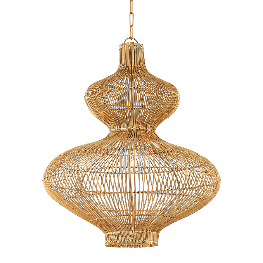 Troy Lighting IRVINE Pendant — F3828-PBR