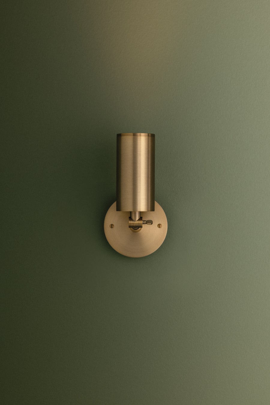 Troy Lighting Caleb Wall Sconce — B1309-PBR/BRZ