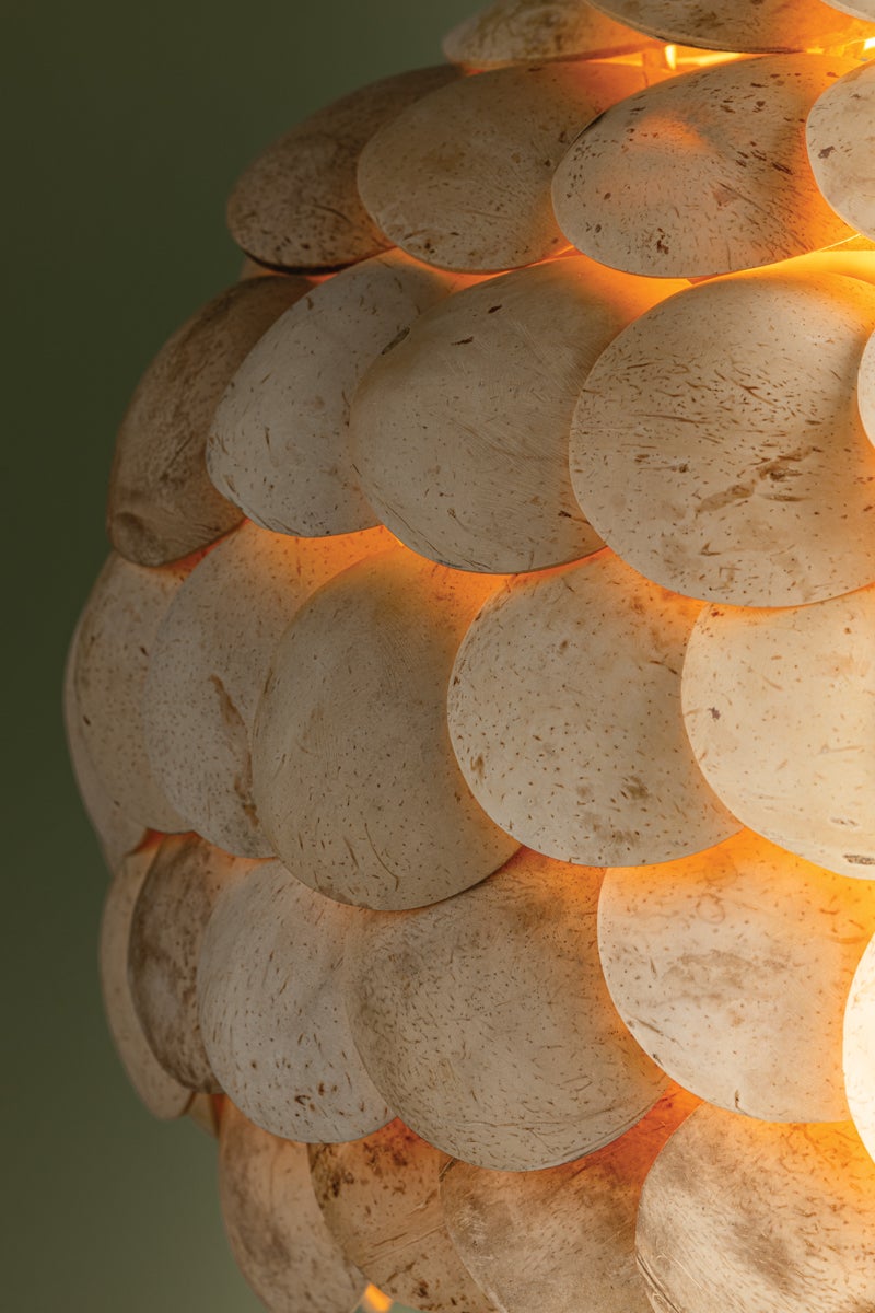 Troy Lighting EDRIC Pendant — F2221-VGL
