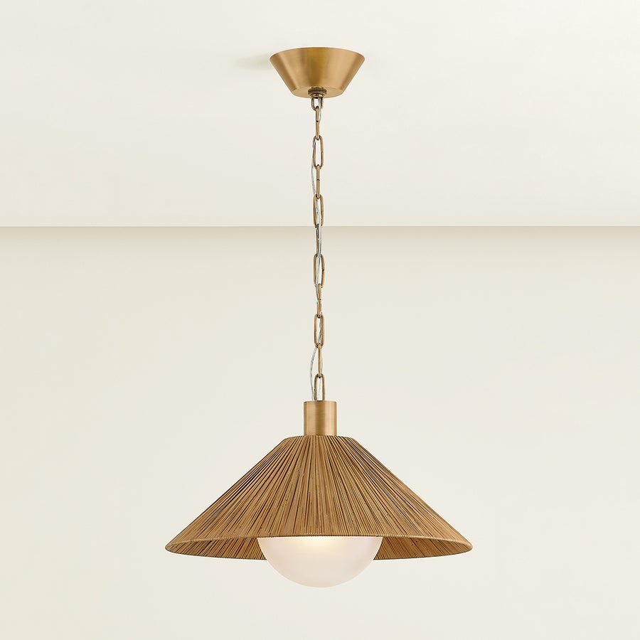Troy Lighting WOODSIDE Pendant — F1422-PBR
