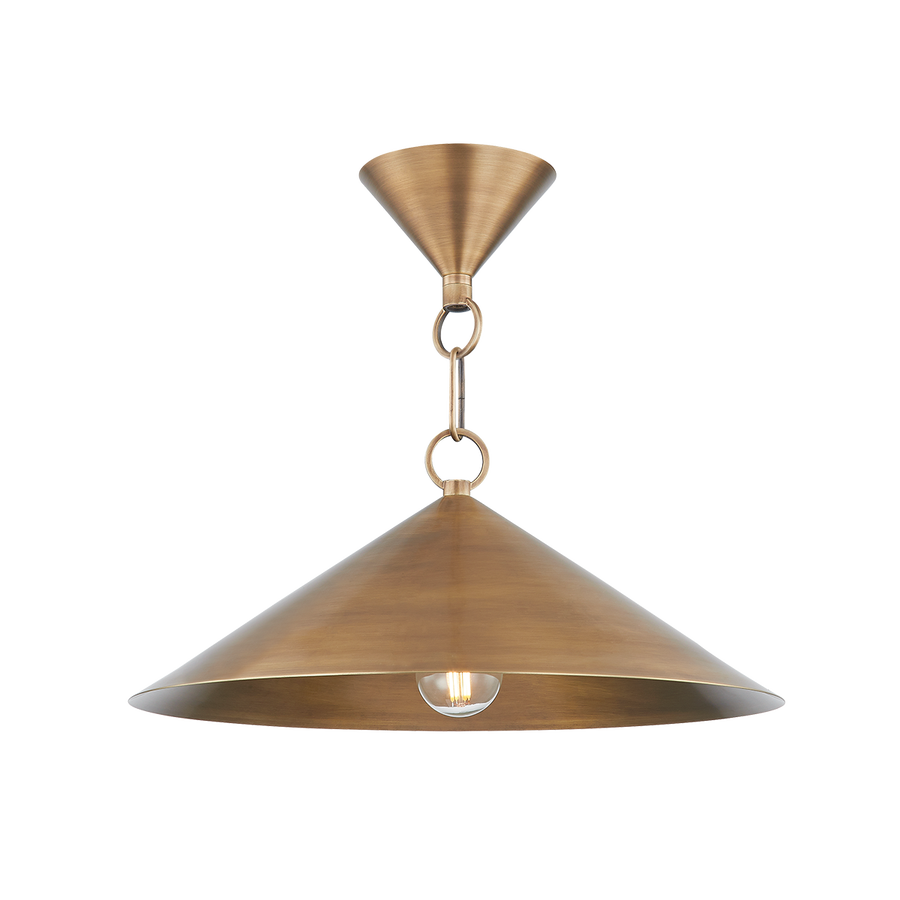 Troy Lighting MIDVALE Pendant — F1915-PBR