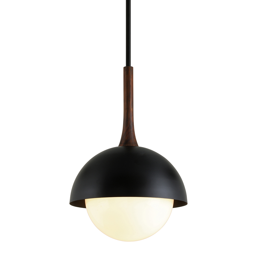 Troy Lighting Cadet Pendant — F7645-SBK