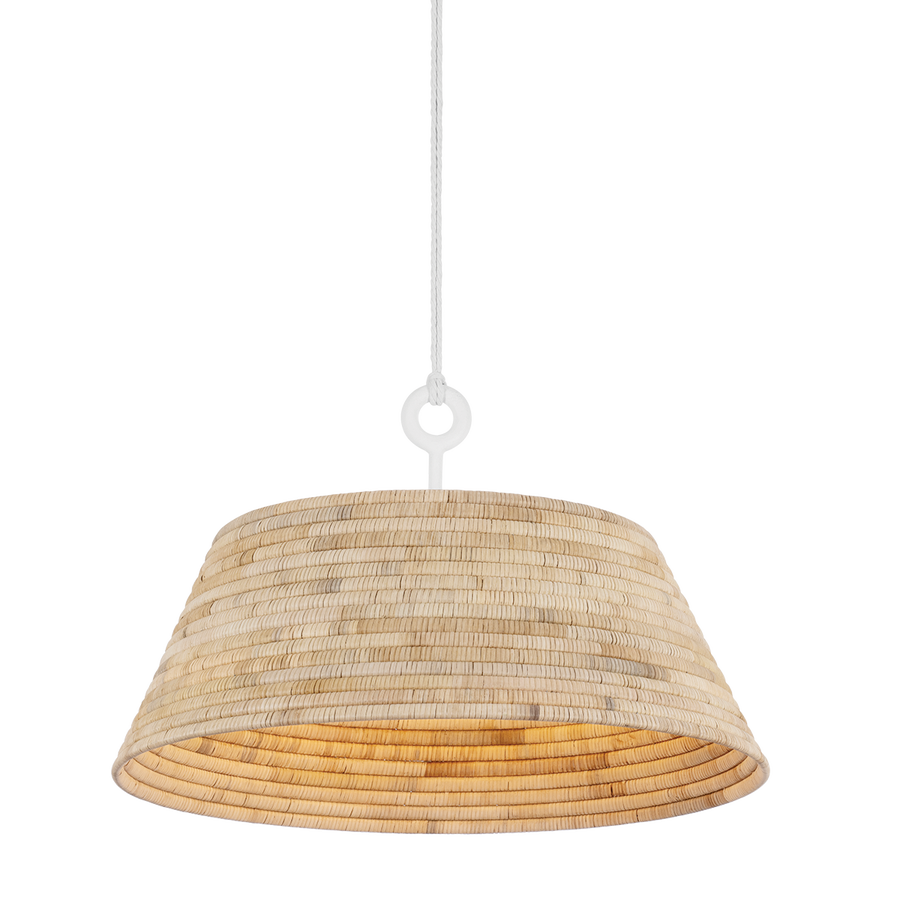 Troy Lighting SEQUOIA Pendant — F2836-GSW