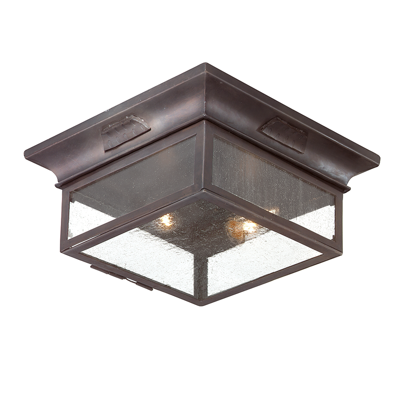 Troy Lighting Newton Exterior Flush Mount — C9000-SFB