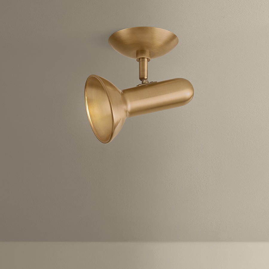 Troy Lighting Bjorn Flush Mount — C2405-PBR