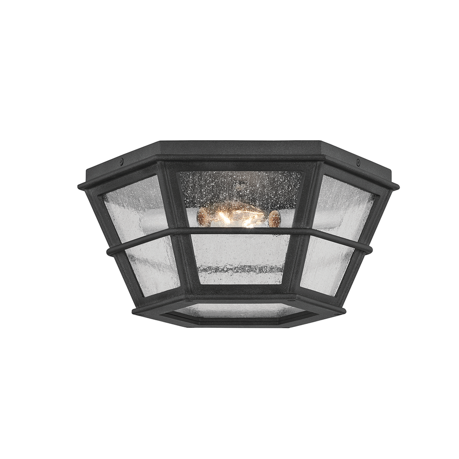 Troy Lighting Lake County Exterior Flush Mount — C2514-FRN