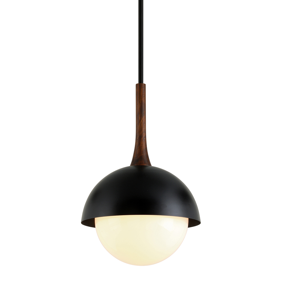 Troy Lighting Cadet Pendant — F7644-SBK