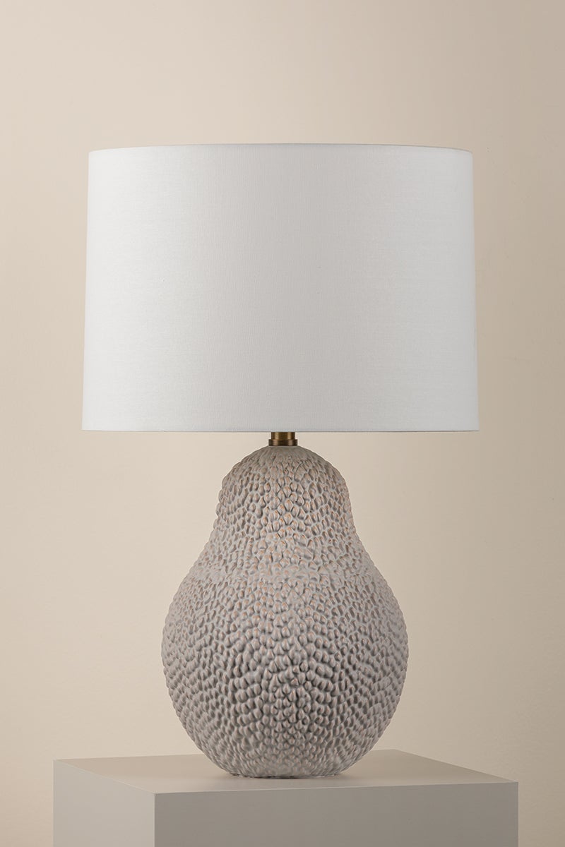 Troy Lighting CRATER Table Lamp — PTL2525-PBR/CSD