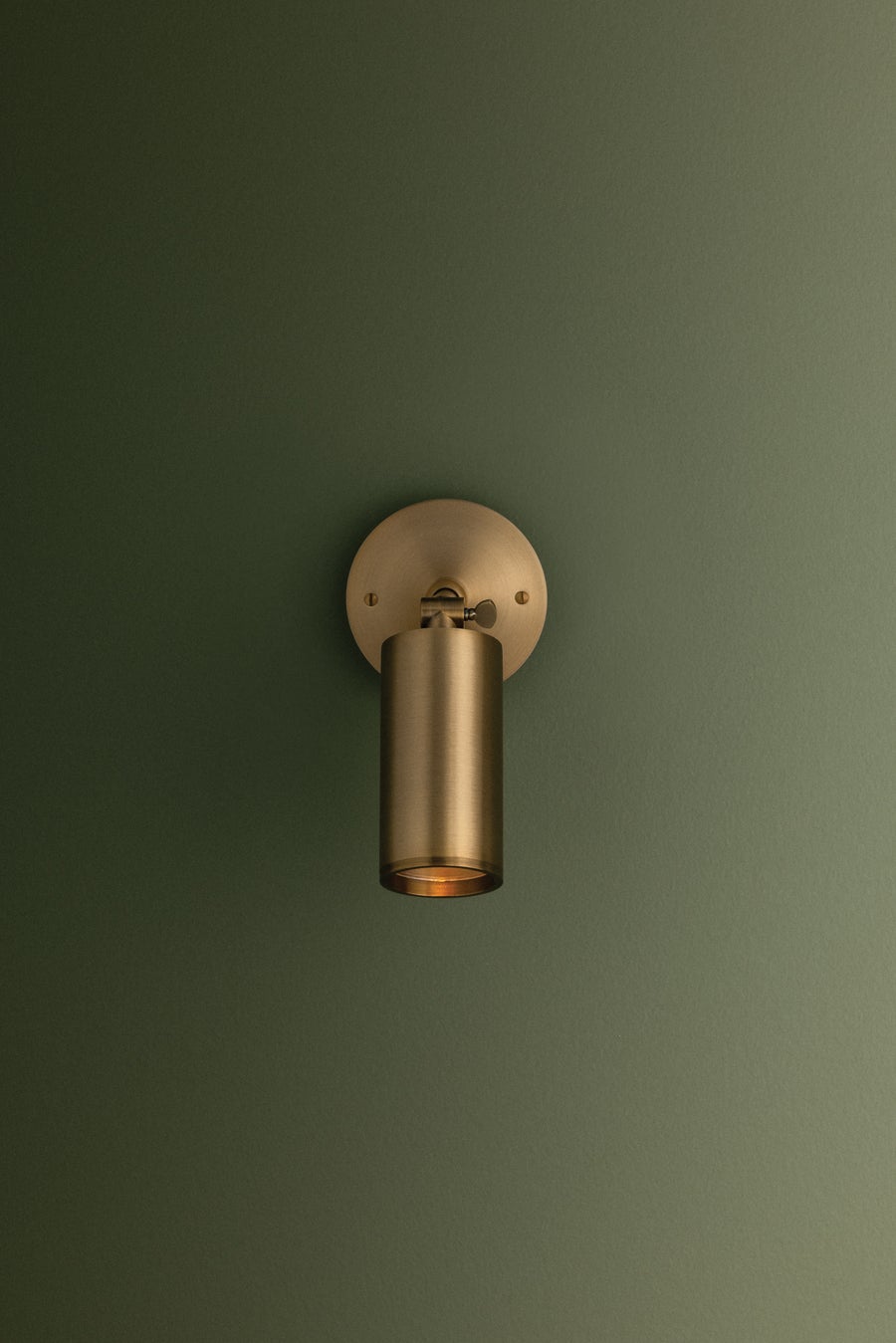Troy Lighting Caleb Wall Sconce — B1309-PBR/BRZ