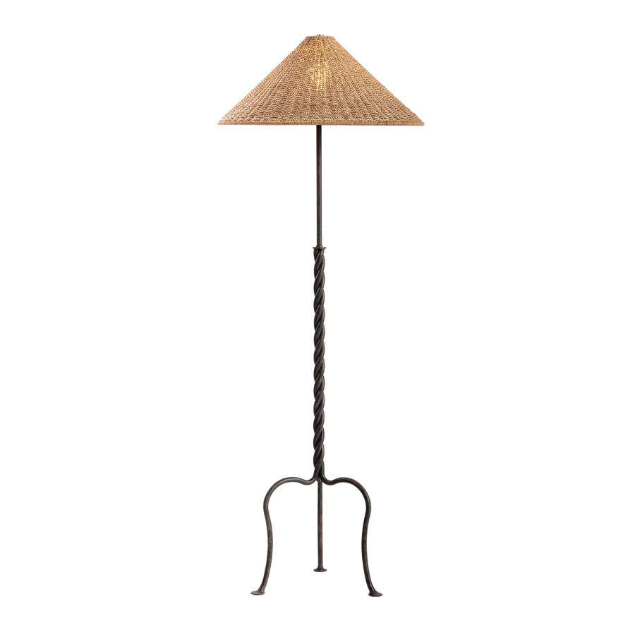 Troy Lighting Francisco Floor Lamp — PFL5164-FRN