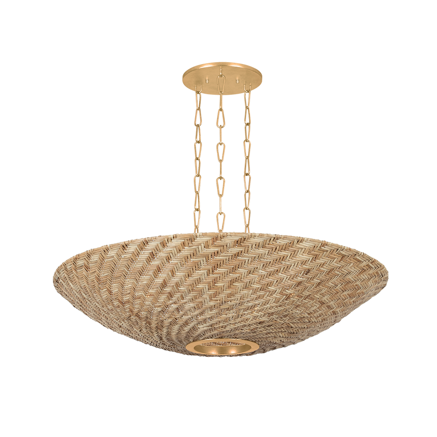 Troy Lighting OLLIE PENDANT — F1540-VGL