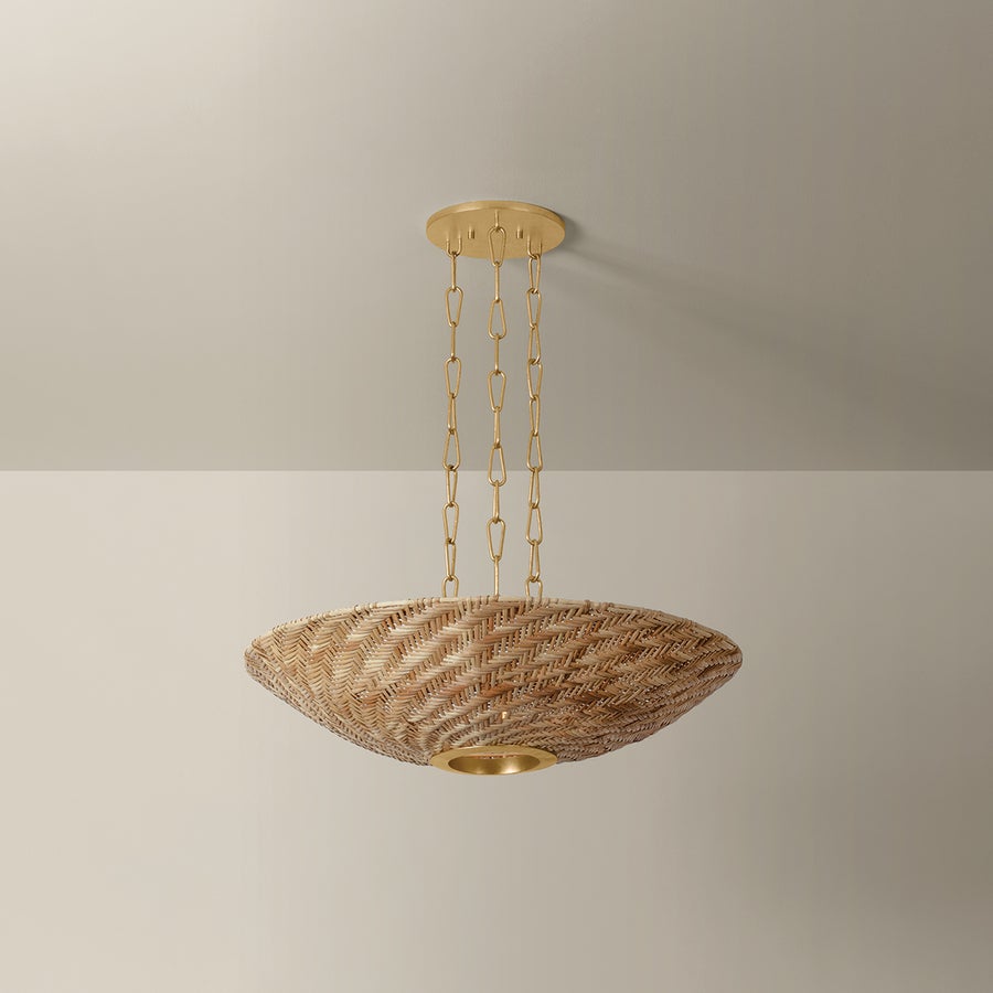 Troy Lighting OLLIE PENDANT — F1528-VGL