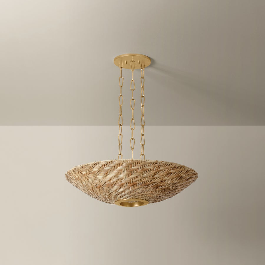 Troy Lighting OLLIE PENDANT — F1528-VGL