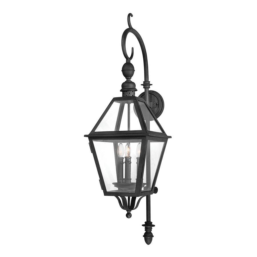 Troy Lighting Townsend Exterior Wall Sconce — B9622-TBK