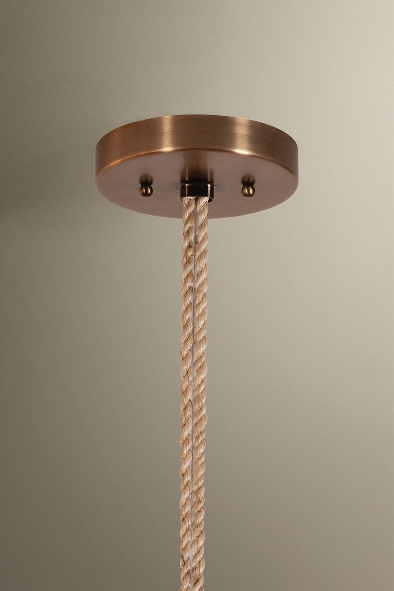Troy Lighting Redwood Pendant — F6030-PBR