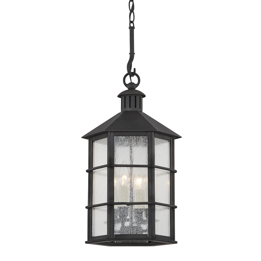 Troy Lighting Lake County Exterior Lantern — F2526-FRN