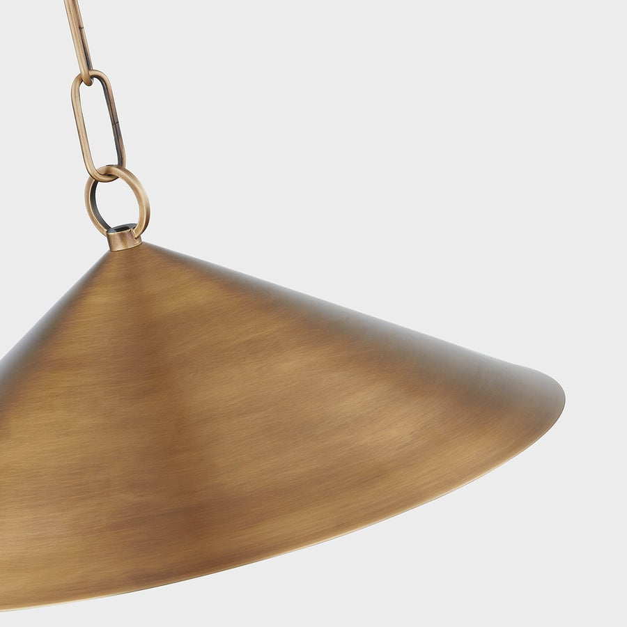 Troy Lighting MIDVALE Pendant — F1915-PBR