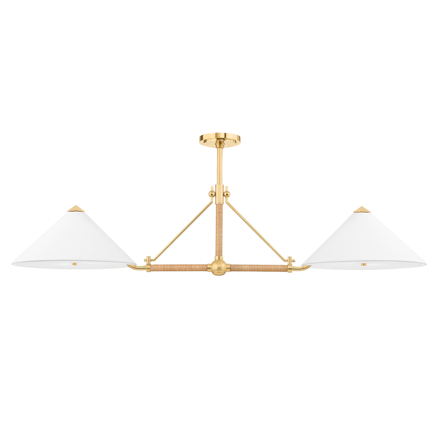 Hudson Valley Lighting Williamsburg Linear — Aged Brass