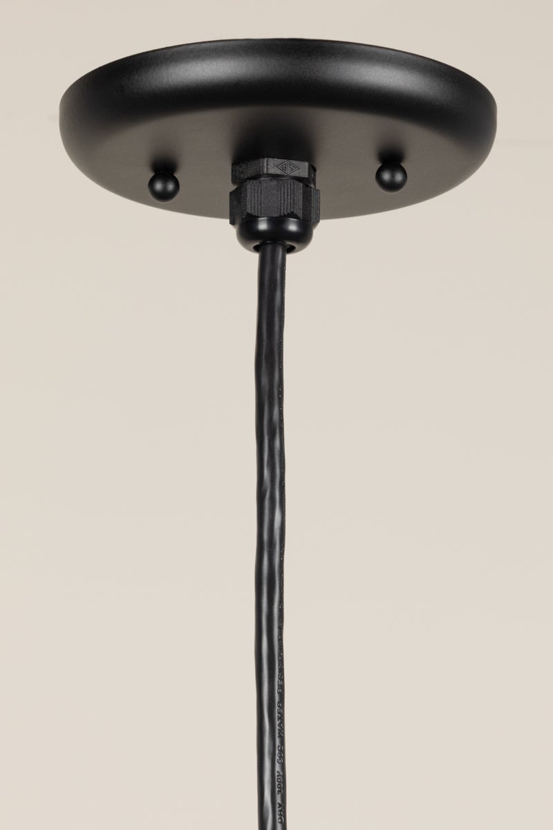 Troy Lighting Ventura Pendant — RD16MMB-B