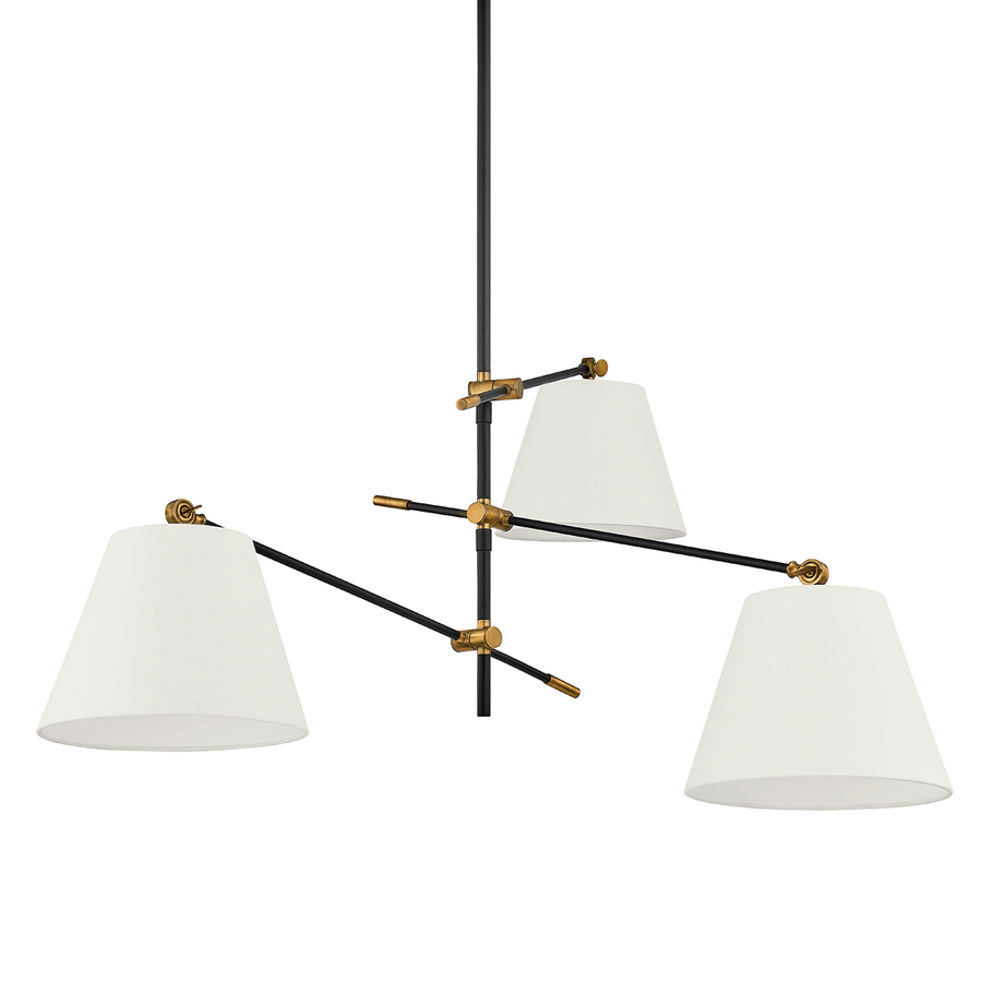 Troy Lighting NAVIN Chandelier — F2653-PBR/TBK