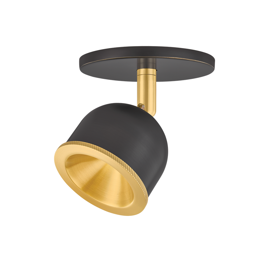 Hudson Valley Lighting Tuthill Flush Mount — 3041-AGB/DB
