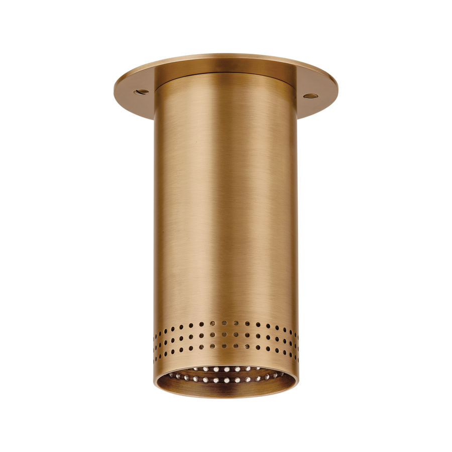 Troy Lighting Berg Flush Mount — C1505-PBR