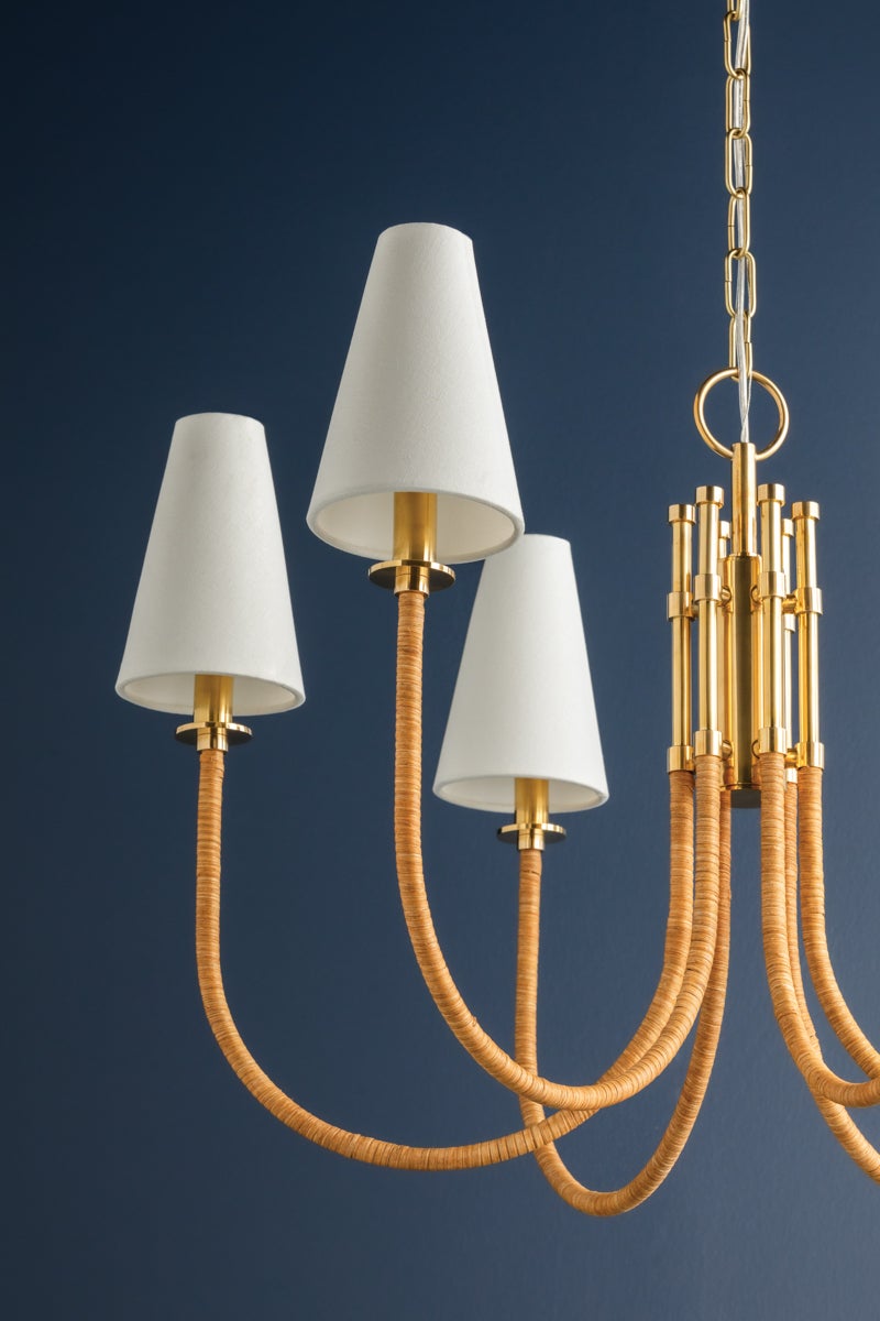 Hudson Valley Lighting Ripley Chandelier — Aged Brass
