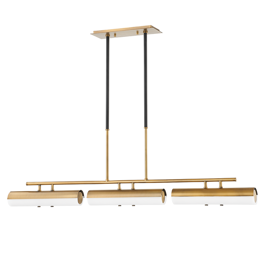 Troy Lighting TITUS Linear Chandelier — F3248-PBR/SBK
