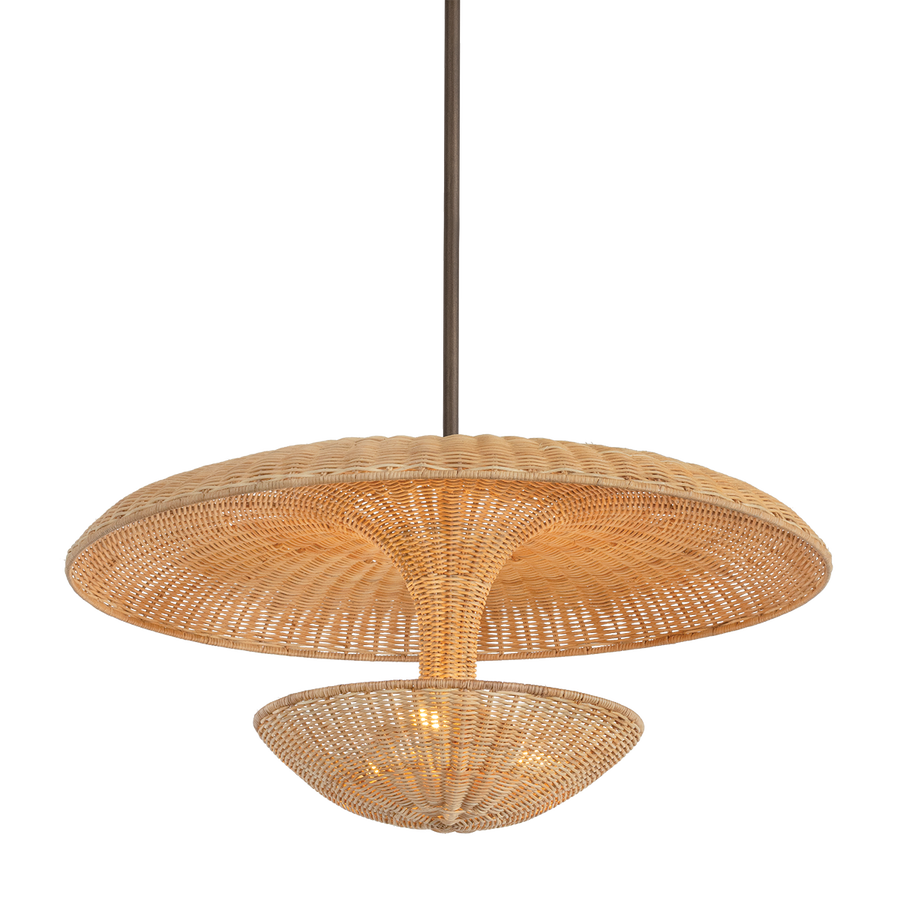 Troy Lighting Draco Pendant — F6230-BRL