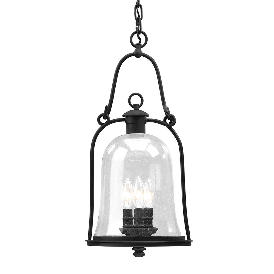 Troy Lighting Owings Mill Exterior Lantern — F9467-TBK