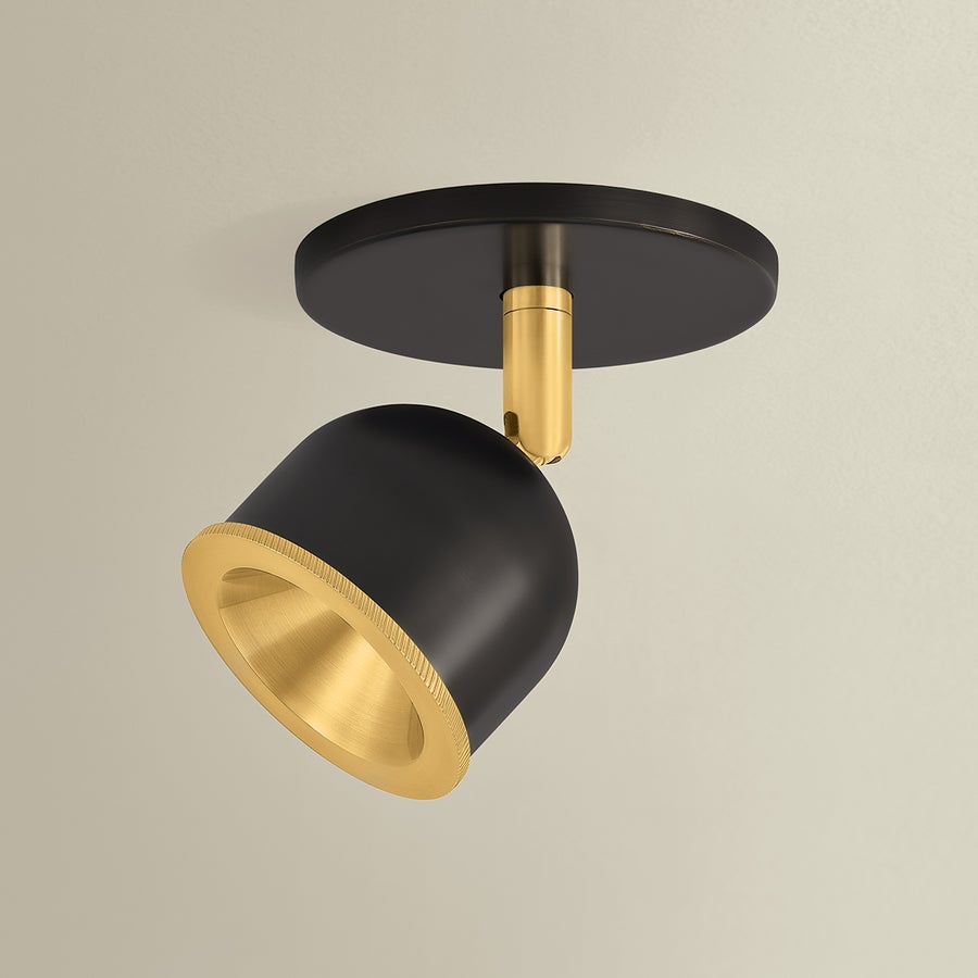 Hudson Valley Lighting Tuthill Flush Mount — 3041-AGB/DB