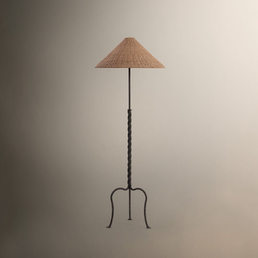 Troy Lighting Francisco Floor Lamp — PFL5164-FRN