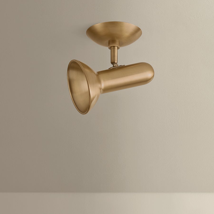 Troy Lighting Bjorn Flush Mount — C2405-PBR