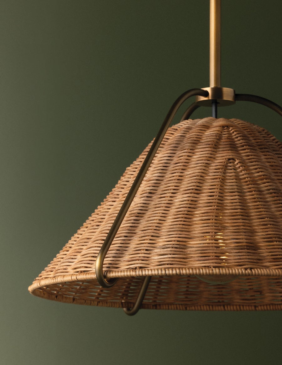 Troy Lighting Richard Pendant — F4318-PBR