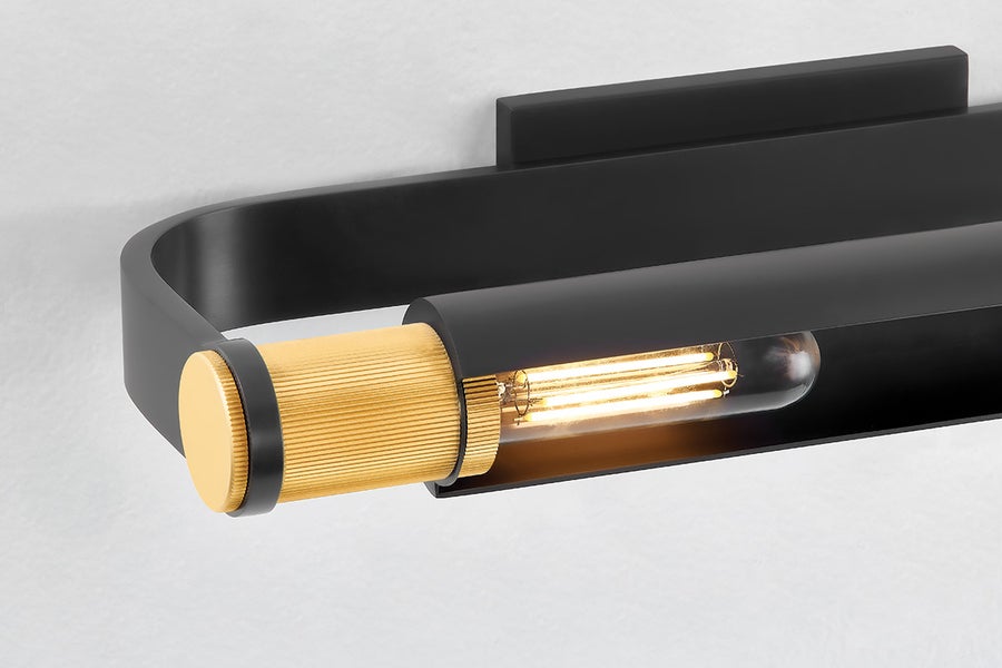 Hudson Valley Lighting ELM PARK PICTURE LIGHT — 6418-AGB/DB