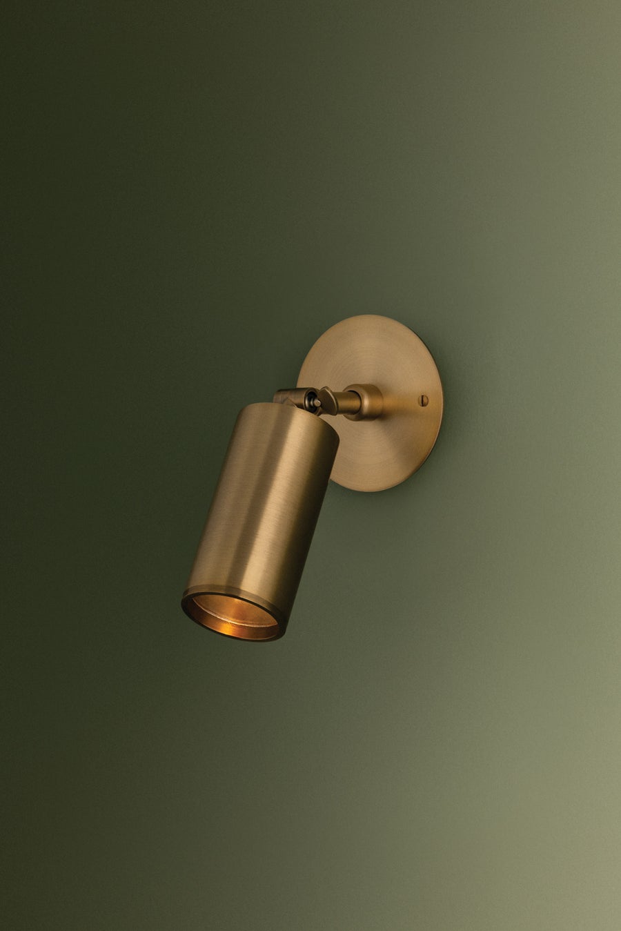 Troy Lighting Caleb Wall Sconce — B1309-PBR/BRZ
