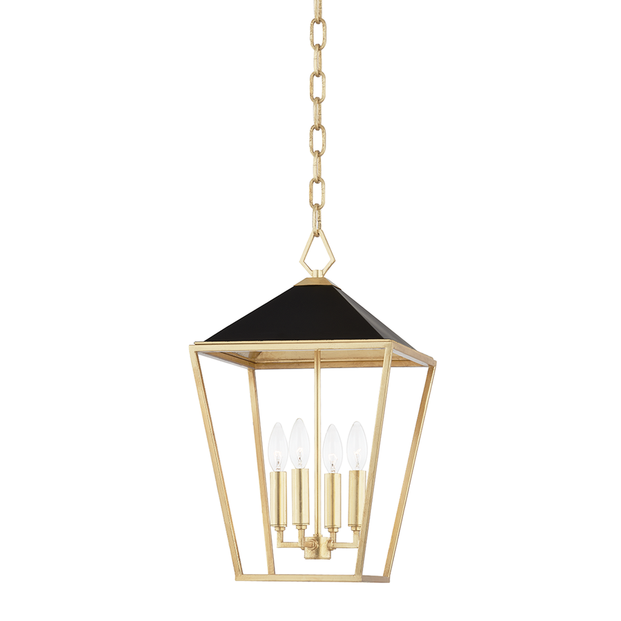 Hudson Valley Lighting Paxton Pendant — 5713-GL/BK