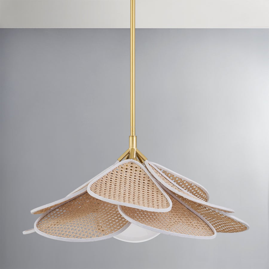 Hudson Valley Lighting Florina Pendant — Aged Brass